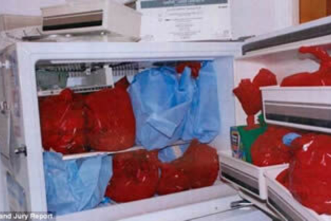 Aborted Baby Body Parts Found In Freezers